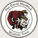 sheldricktrust_02